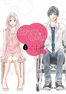 Perfect World