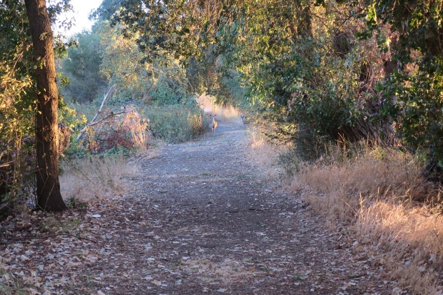 San Luis National Wildlife Refuge