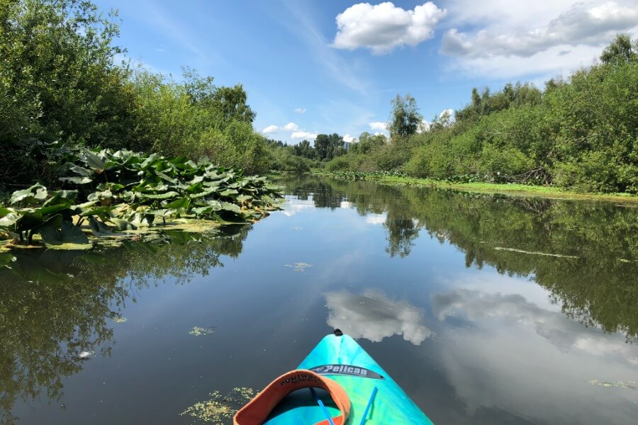 Kayak