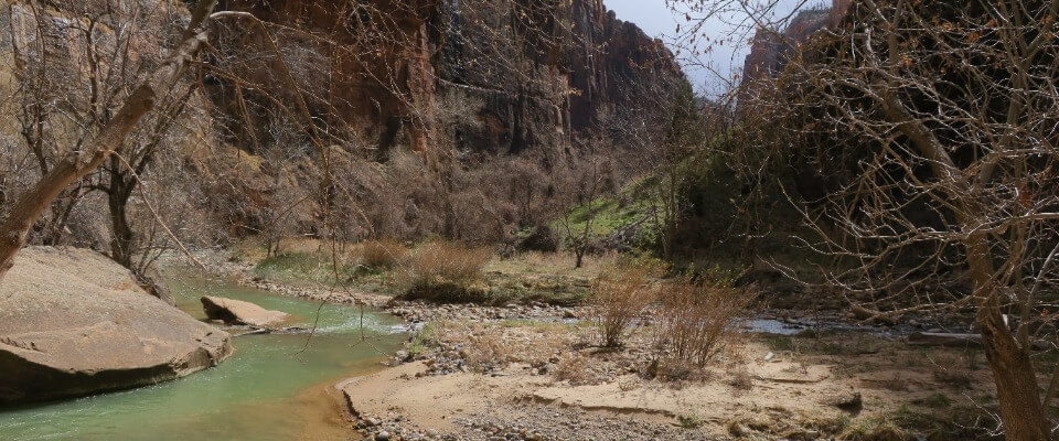 Zion National Park