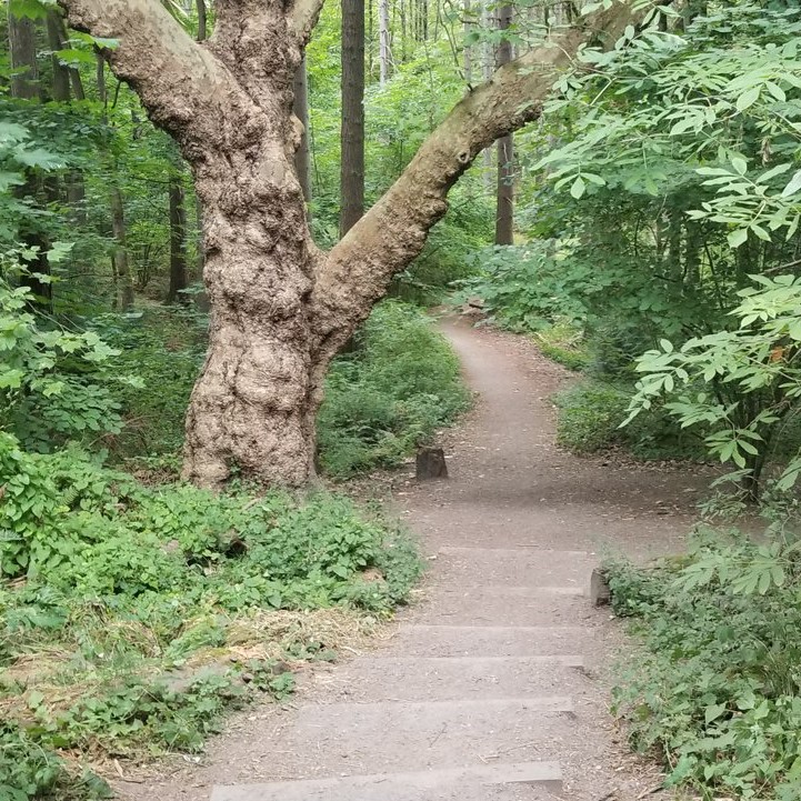 Crescent Staircase